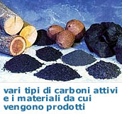carboni attivi